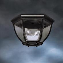  9886BK - Outdoor Ceiling 2Lt