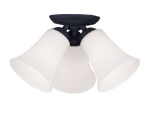  6462-04 - 3 Light Black Ceiling Mount