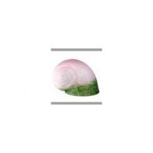  11715 - 5"W X 6"L PINK/GREEN PATE-DE-VERRE SNAIL SHADE