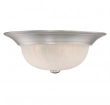  6-13264-13-SN - 2-Light Ceiling Light in Satin Nickel