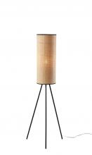  3817-01 - Huey Floor Lamp