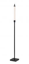  4298-01 - Collin LED Color Changing Floor Lamp