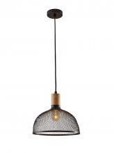  6268-01 - Dale Large Pendant