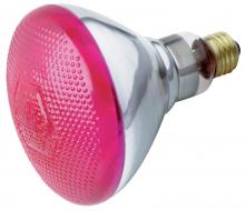  S5007 - 100 Watt BR38 Incandescent; Pink; 2000 Average rated hours; Medium base; 230 Volt