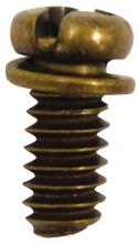  7704700 - 10-Piece Motor Screw Kit Polished Brass Finish