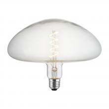  BB-250-LED - 5 Watt LED Vintage Light Bulb