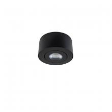  FM-W44205-30-BK - I Spy Outdoor Flush Mount Light