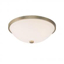  2323WG-SW - 2 Light Flush Mount