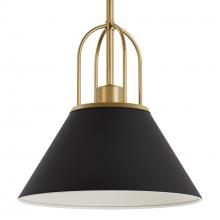  13163 - Hunter Carrington Isle Matte Black and Luxe Gold 1 Light Medium Pendant Ceiling Light Fixture