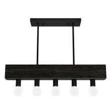  13055 - Hunter Donelson Natural Black Iron and Dark Ash 5 Light Small Chandelier Ceiling Light Fixture