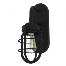  19668 - Hunter Starklake Natural Black Iron 1 Light Sconce Wall Light Fixture