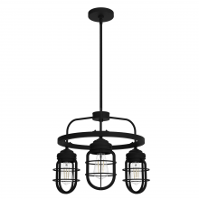  19665 - Hunter Starklake Natural Black Iron 3 Light Chandelier Ceiling Light Fixture