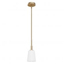  19888 - Hunter Nolita Alturas Gold with Cased White Glass 1 Light Pendant Ceiling Light Fixture