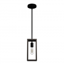  19769 - Hunter Squire Manor Matte Black and Dark Ash 1 Light Small Pendant Ceiling Light Fixture