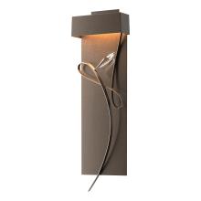  205440-LED-05-05-CR - Rhapsody LED Sconce