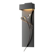  205440-LED-10-05-CR - Rhapsody LED Sconce