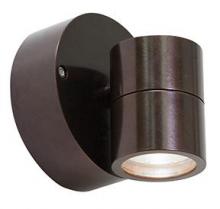  20350LEDDMGLP-BRZ/CLR - 1 Light Outdoor LED Wall Mount Spotlight