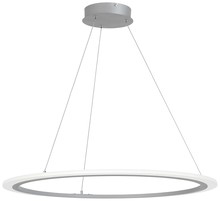  P8141-609-L - Discovery - LED Pendant