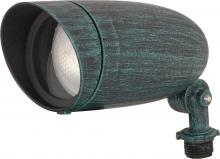  SF76/656 - 1 Light - Landscape Flood - PAR20- Antique Verdi Finish