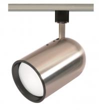  TH306 - 1 Light - R30 - Track Head - Bullet Cylinder - Brushed Nickel Finish