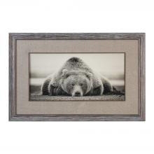  33661 - Uttermost Deep Sleep Bear Print