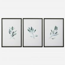  33723 - Simple Sage Watercolor Prints, S/3