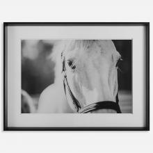  41464 - Uttermost Eyes On The Prize Framed Print