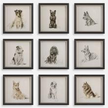  32344 - Uttermost Loyal Companion Framed Dog Prints, S/9