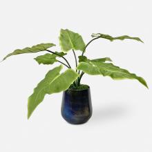  60179 - Uttermost Mari Calla Accent Plant