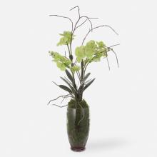  60199 - Uttermost Valdive Orchid